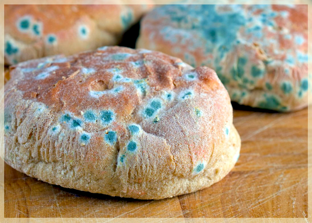 Отравление хлебом: первые симптомы, причины и последствия