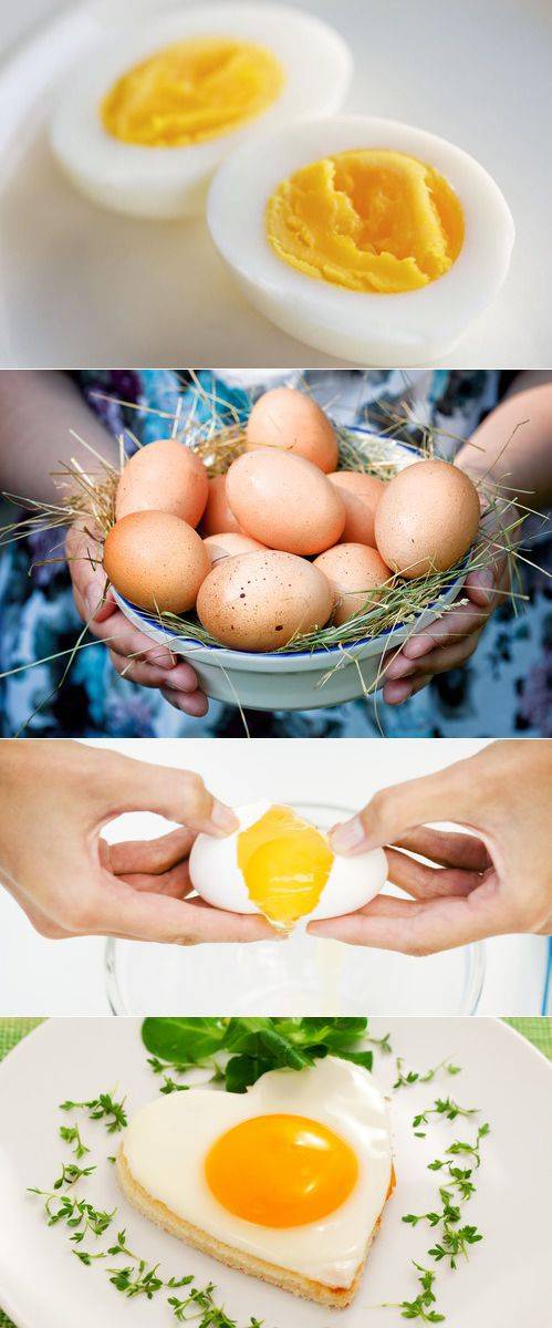Яйцо куриное, польза и вред для организма человека — фгуз «центр гигиены и эпидемиологии в марий эл»