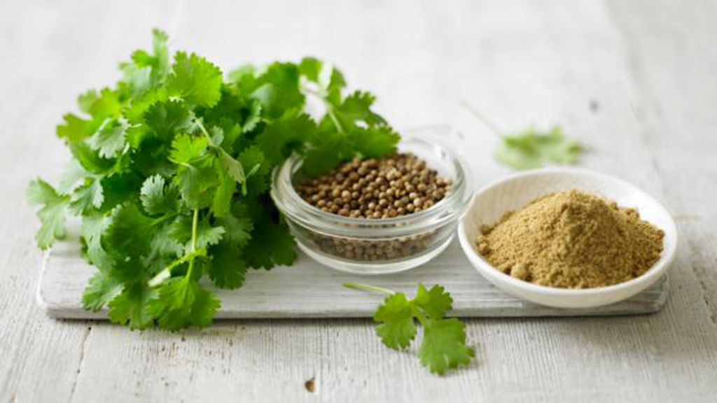 Приправа кориандр — как выглядит, применение, рецепты, к чему добавлять семена кинзы