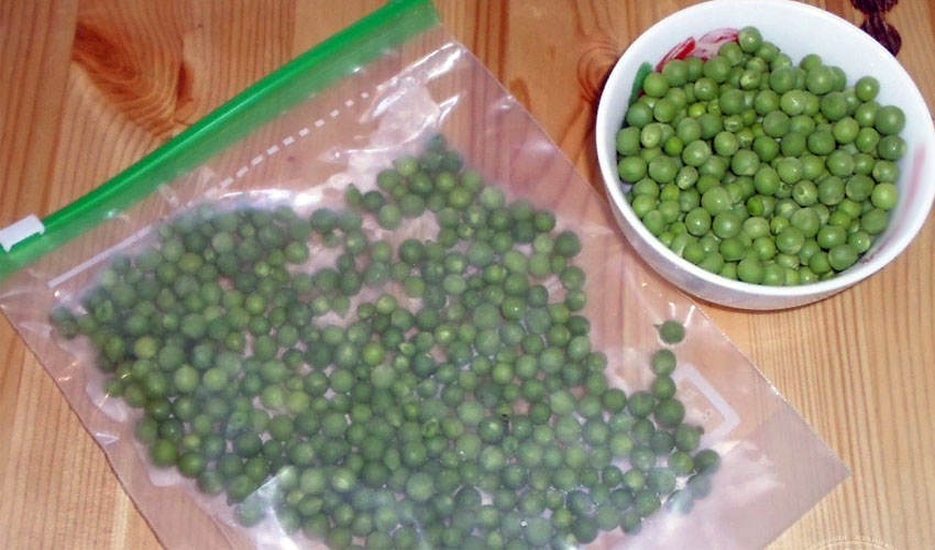 Как заморозить зеленый горошек на зиму в домашних условиях в холодильнике – 5 способов заморозки гороха