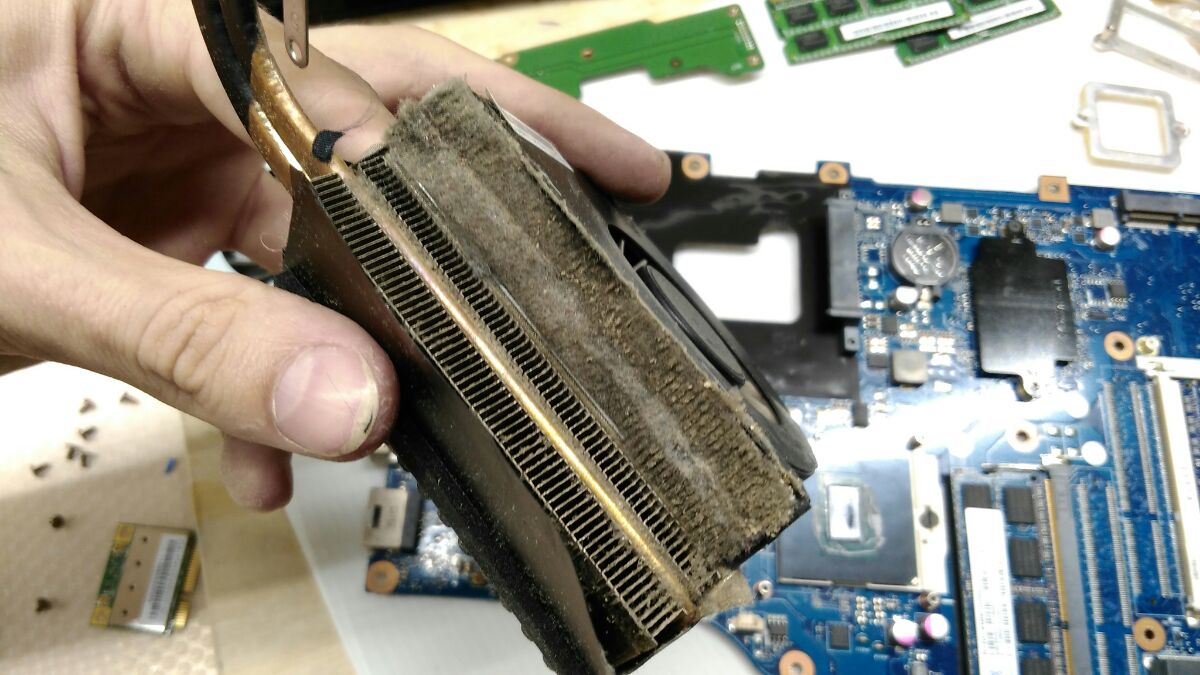 Как почистить ноутбук от пыли самостоятельно: эффективные способы чистки и порядок разборки компьютера