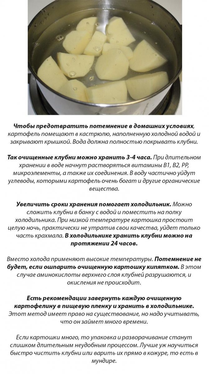 Способы хранения очищенной картошки Как долго она может храниться в воде, в холодильнике, морозильнике
