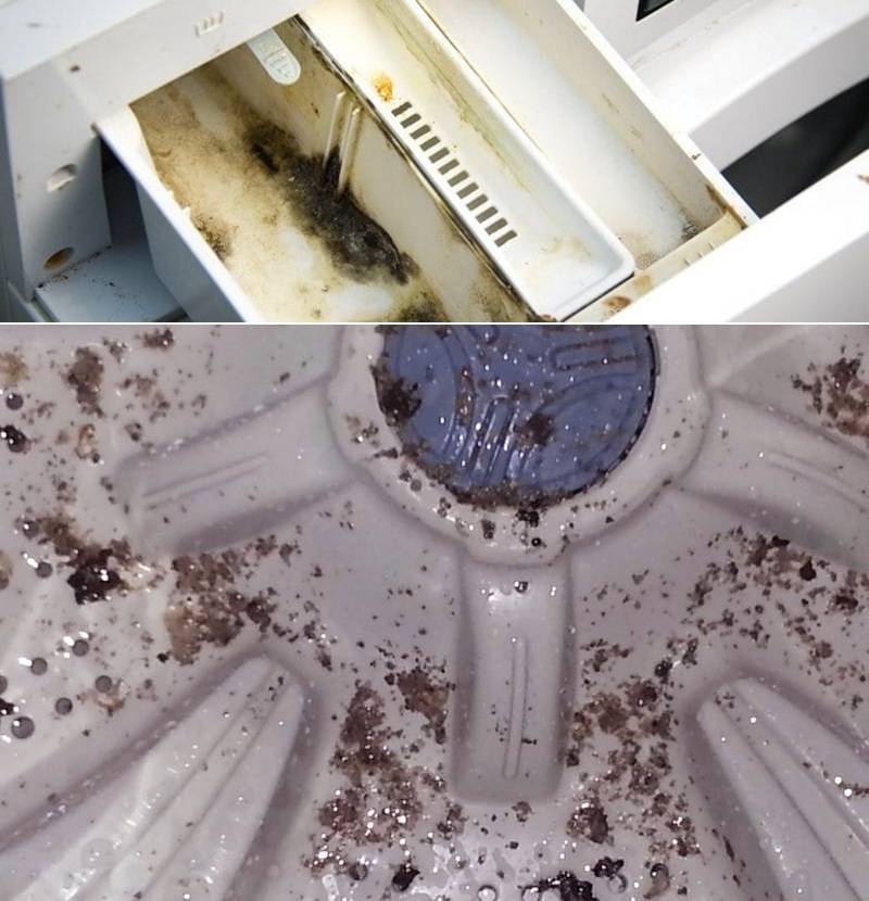Как избавиться от неприятного запаха и плесени в стиральной машине Откуда берутся запахи и плесневые грибки Как с ними справиться и предотвратить рецидив