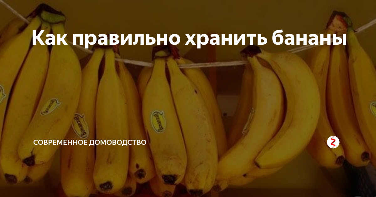 Как правильно хранить бананы дома, чтобы не чернели?