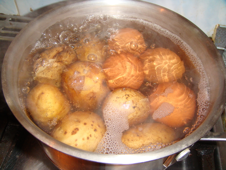 Как варить картошку в кастрюле? сколько варится молодая картошка, картошка в кожуре? :: syl.ru