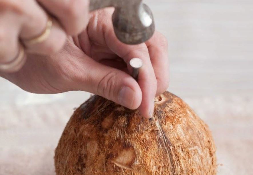 Как в домашних условиях расколоть кокос и извлечь мякоть