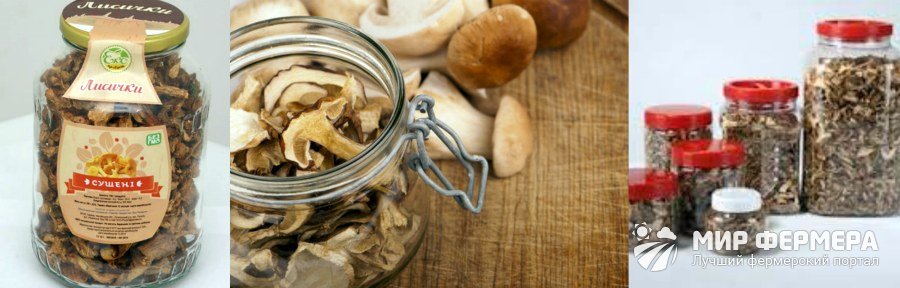Сколько хранятся сушеные грибы в банке