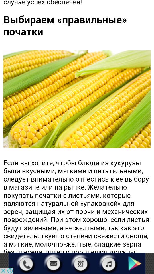 Как варить кукурузу: правильные рецепты варки кукурузных початков в кастрюле и не только