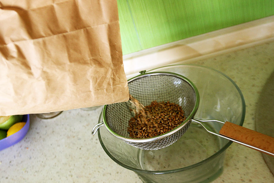 Как правильно и быстро прорастить пшеницу в домашних условиях для еды, как употреблять ростки