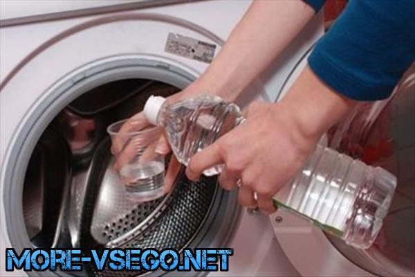 Как быстро избавиться от плесени в стиральной машине?