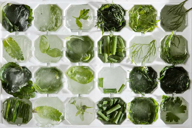 Как заморозить свежую зелень в морозилке: в пакетах, рецепты заморозки в домашних условиях