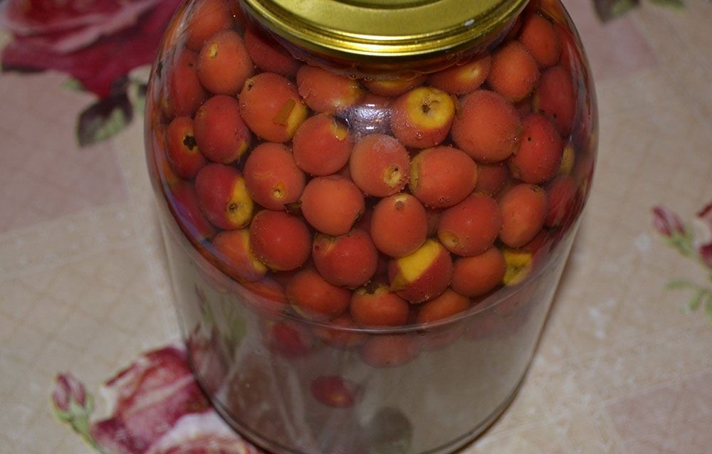Рецепты приготовления боярышника на зиму: простые способы того, как можно сделать вкусные заготовки из ягод