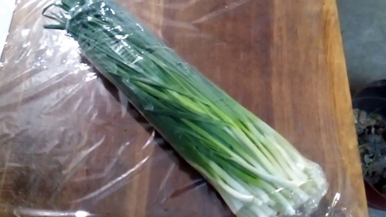Как правильно хранить зеленый лук в холодильнике подольше свежим