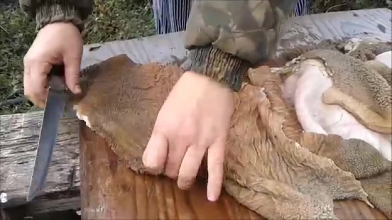 Что такое требуха? как почистить требуху и приготовить? :: syl.ru