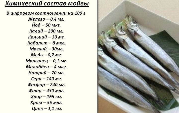 Питательная ценность мойвы Список полезных веществ в составе, влияние на организм человека, дневная норма Вредные свойства рыбы