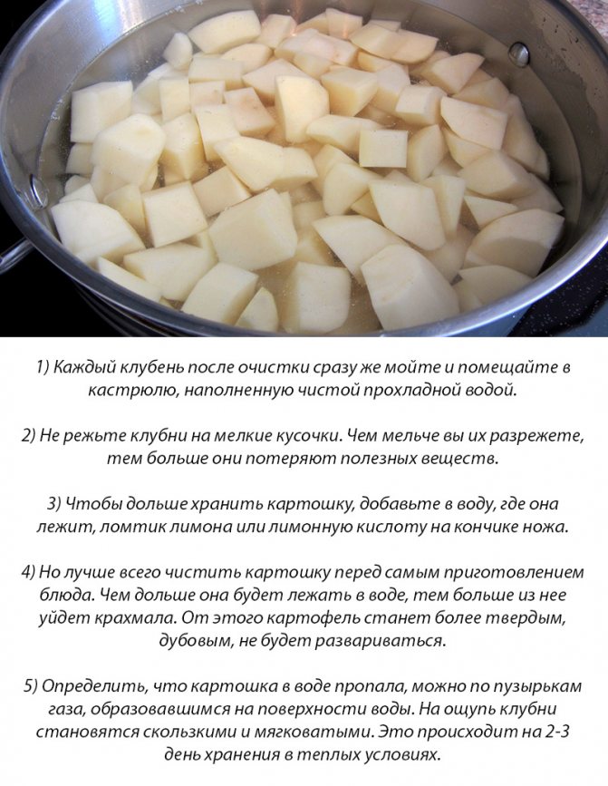 Как хранить очищенную картошку: на сутки, время хранения картофеля в холодной воде