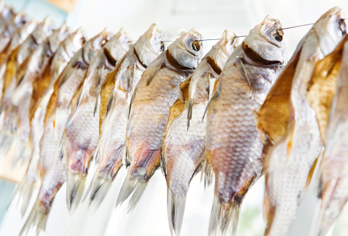 Как хранить сушеную рыбу: 5 методов