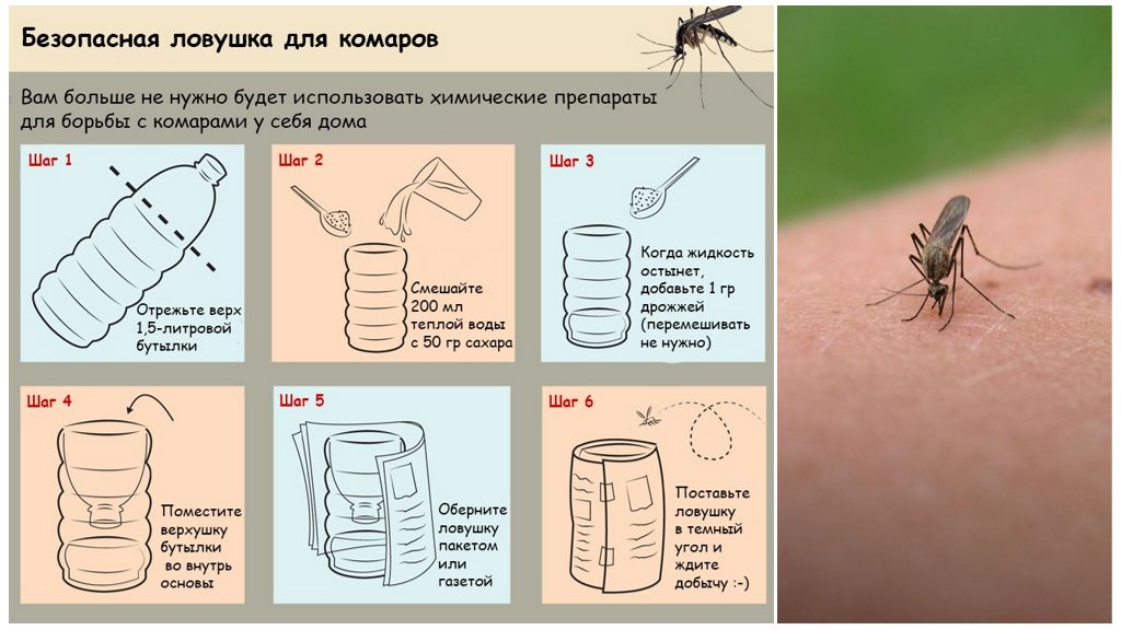 Как избавиться от комаров в квартире - 20 лучших средств