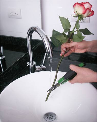 Что добавить в воду для роз, чтобы дольше стояли в вазе