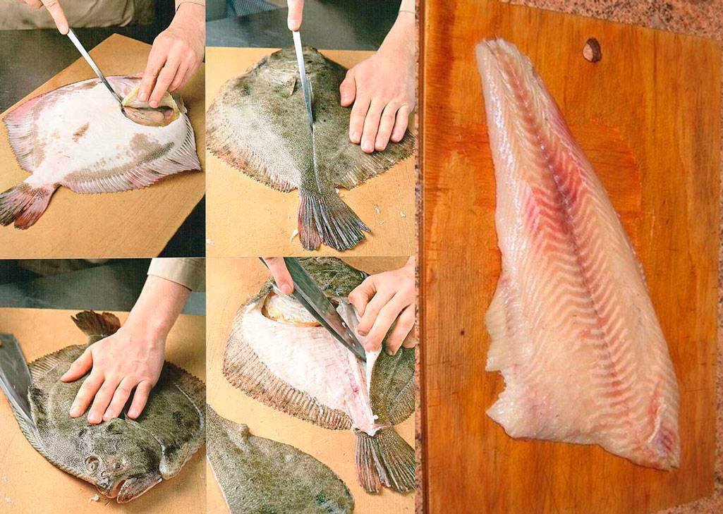 Как чистить камбалу перед приготовлением разных блюд: что делать со свежей и замороженной рыбой