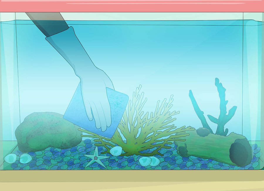 Как почистить аквариум с рыбками если нет сифона