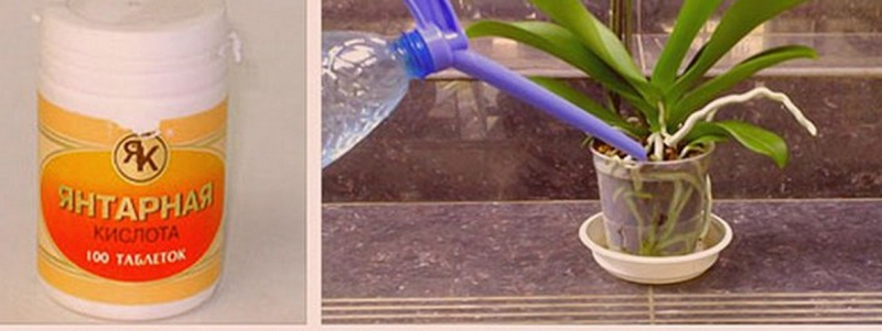 Как смягчить воду для полива домашних цветов, 7 способов