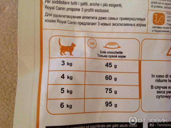 Можно ли кормить кошку кормом брит