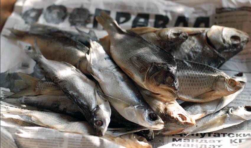 Как хранить вяленую и сушеную рыбу в домашних условиях