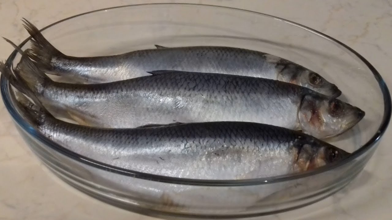 Как быстро вымочить соленую рыбу - лучшие рецепты от gemrestoran.ru