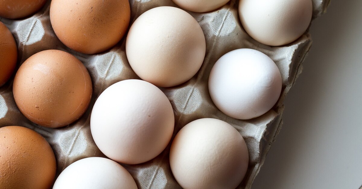 Почему куриные яйца бывают белые и коричневые: от чего зависит цвет, какие полезнее