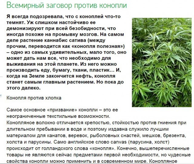 Конопля чем помогает курить марихуану россия