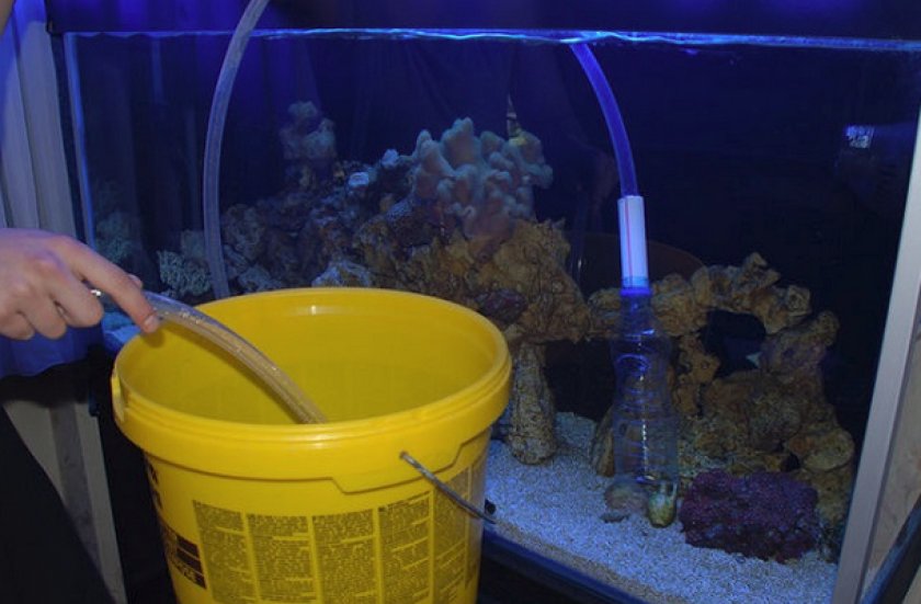 Вода для аквариумных рыбок. Очистка аквариума. Менять воду в аквариуме. Рыба для чистки аквариума. Шланг для чистки аквариума для рыбок.