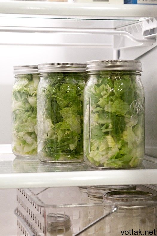 Как хранить зелень на зиму свежей в холодильнике и сушеной: правила и лучшие способы