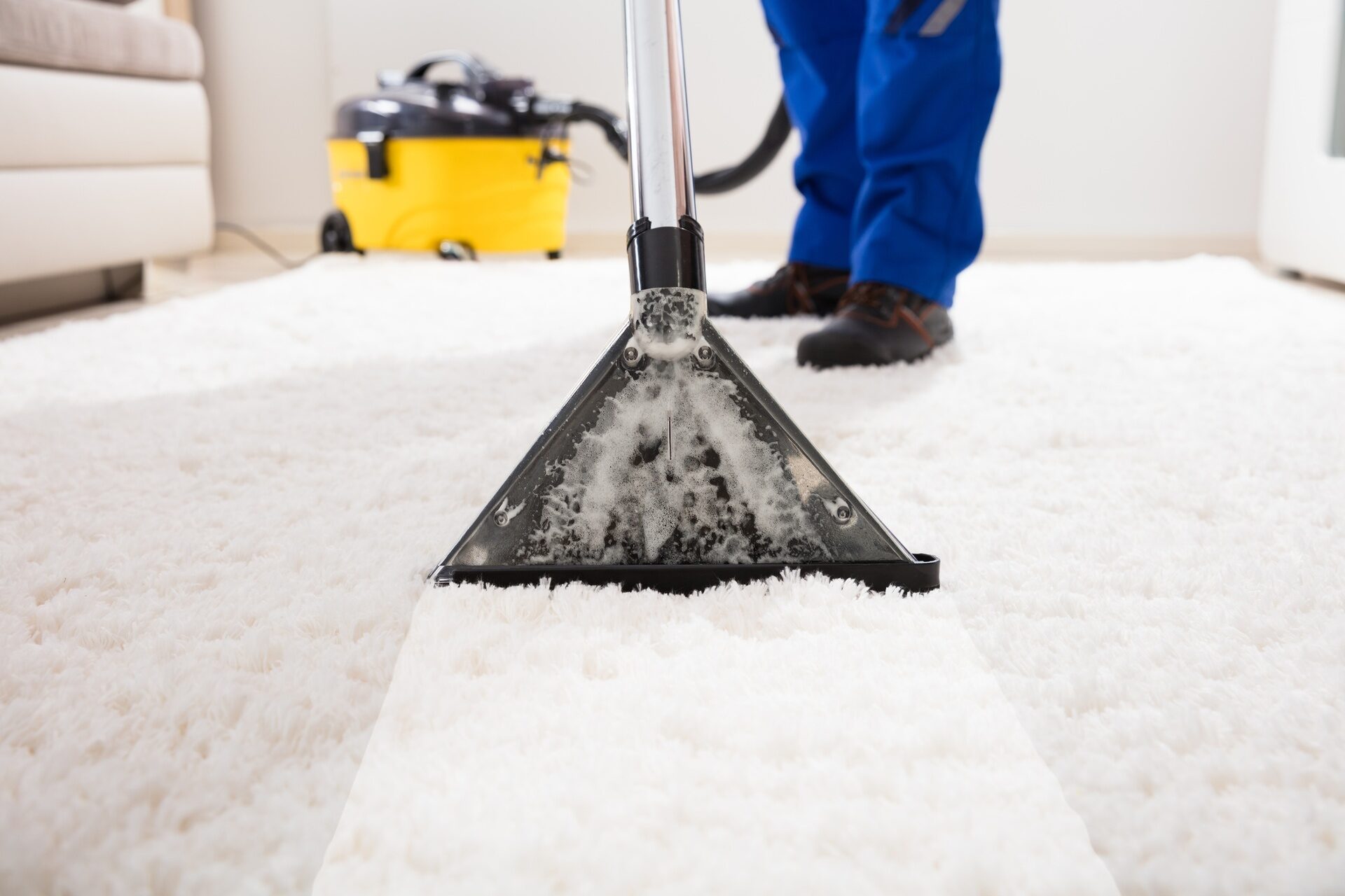 Способы и средства, как и чем почистить палас в домашних условиях быстро и эффективно