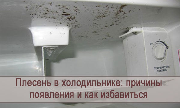 Как и чем отмыть холодильник от плесени: удаляем грибок с резинки, стенок и полочек