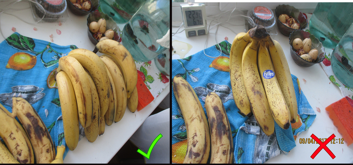 Правила хранения бананов в магазине и дома