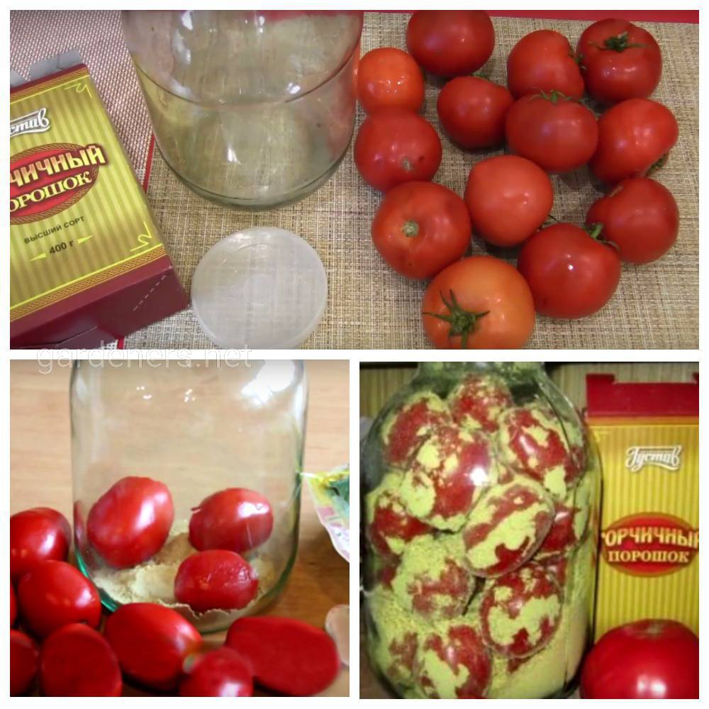 Как сохранить помидоры долго свежими и где их лучше хранить: подходящие сорта и правильная подготовка
