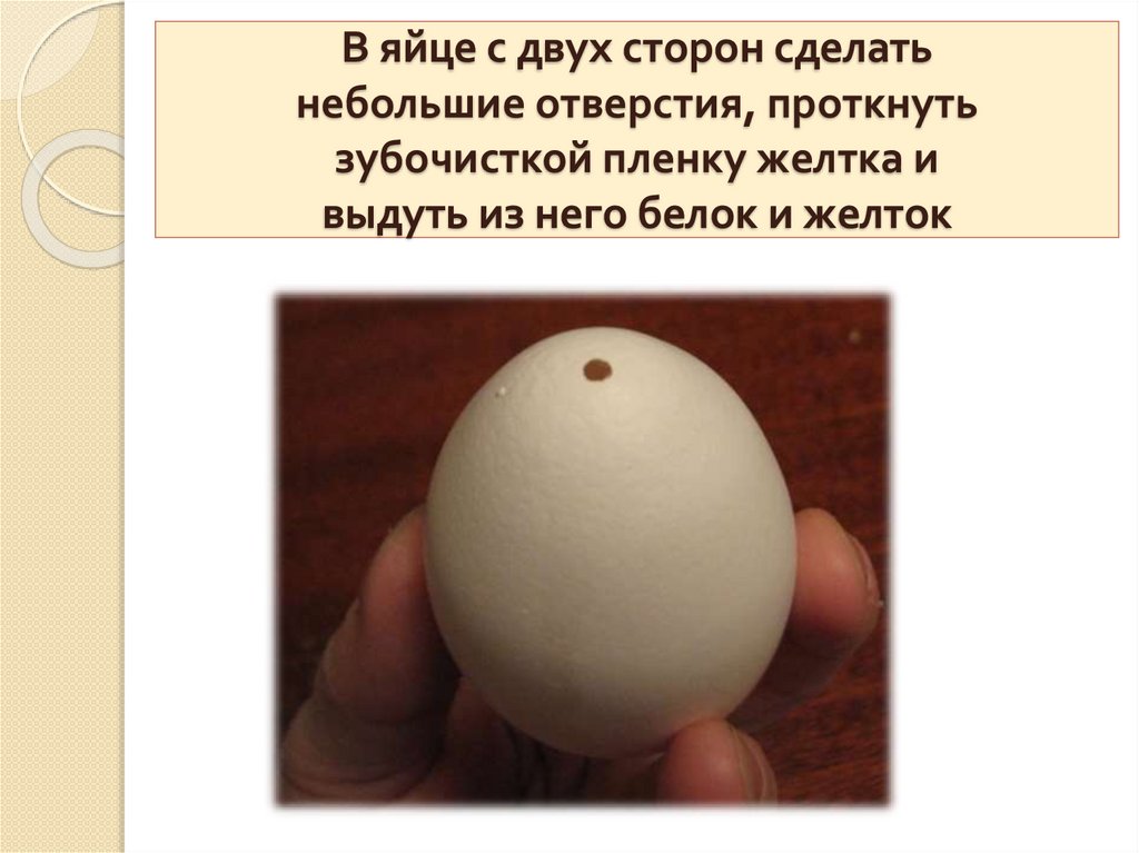Почему куриные яйца бывают белыми и коричневыми, от чего зависит цвет