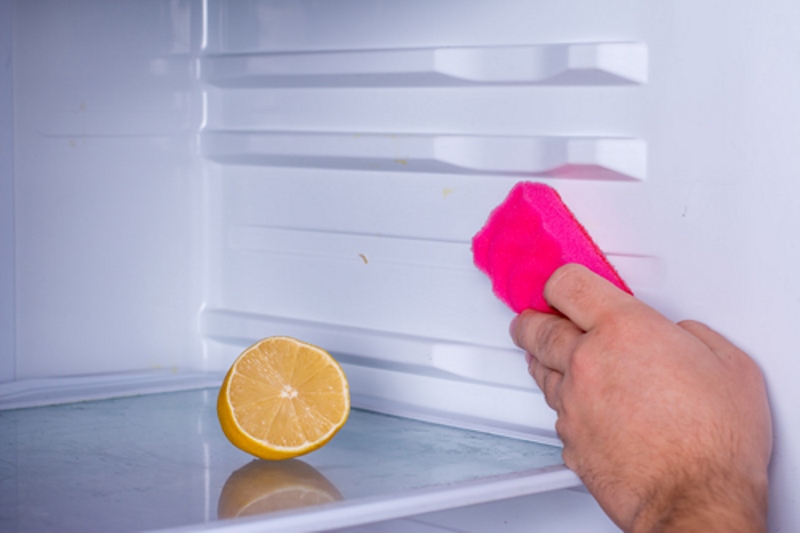 Плесень в холодильнике: как избавиться и убрать запах