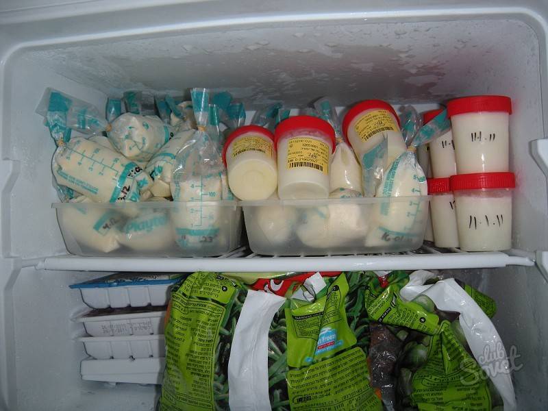 Можно ли молоко замораживать в морозилке, сколько его можно хранить – ответы на часто задаваемые вопросы