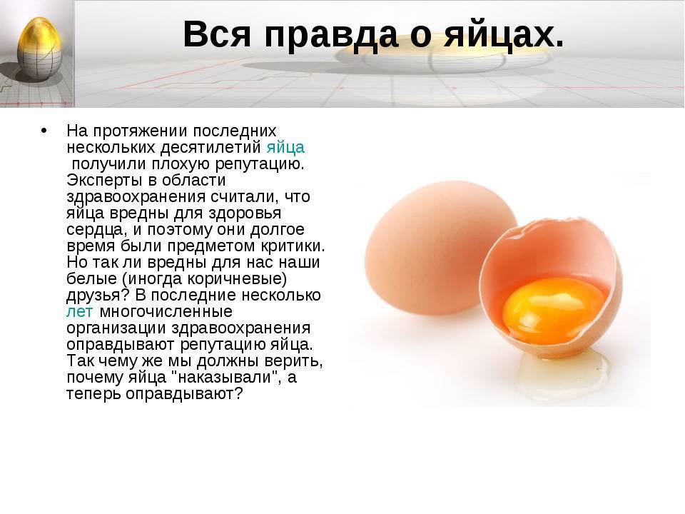 Вся правда о куриных яйцах, о том, как и сколько их лучше варить Действительно ли вредно есть переваренные яйца