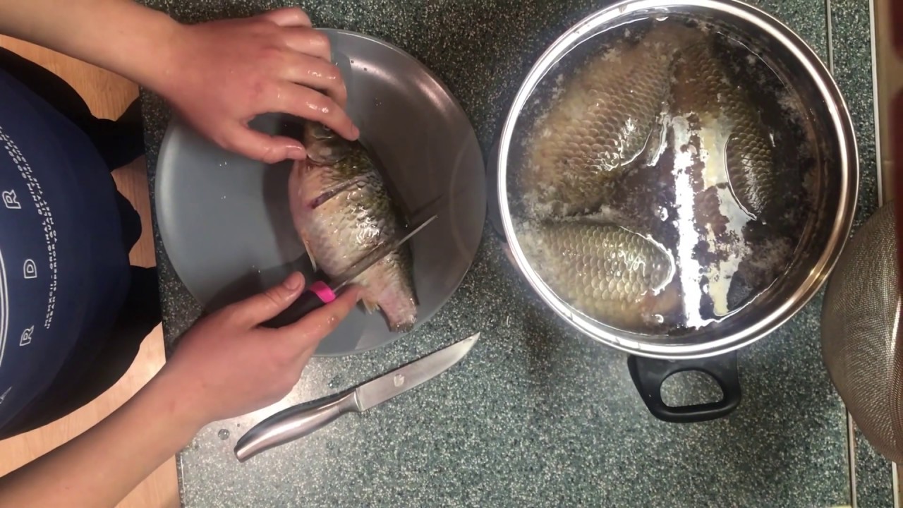 Как чистить речную рыбу (на примере карася) - пошаговая инструкция с фото