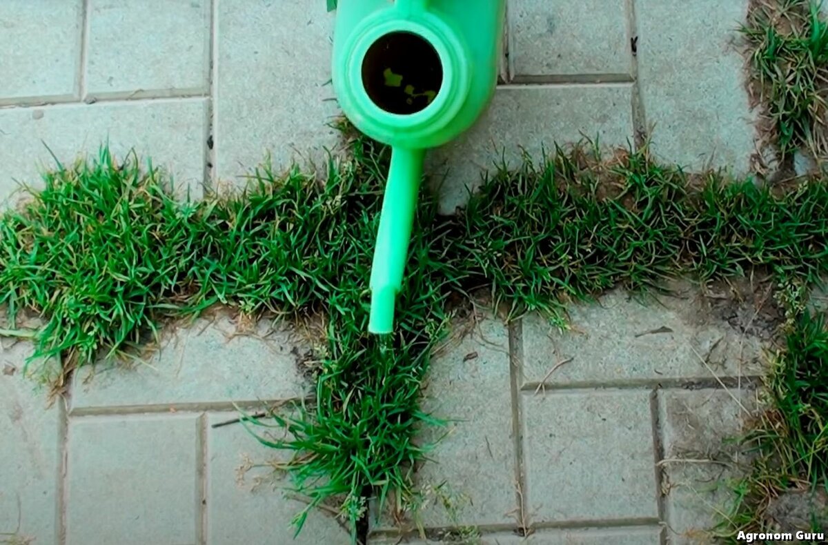 Как легко избавиться от травы на садовых дорожках навсегда!