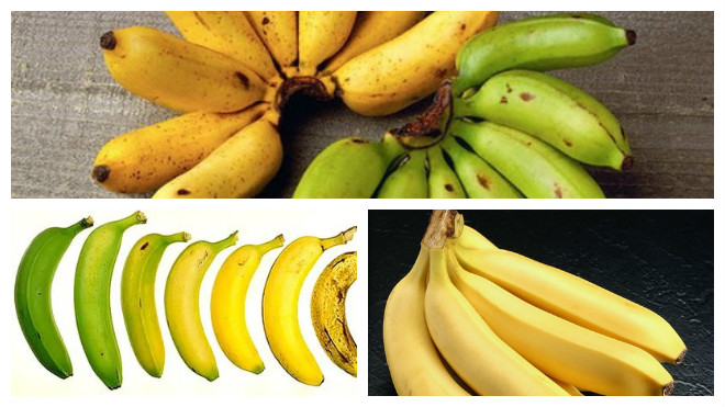 Сколько, где и как можно хранить бананы?