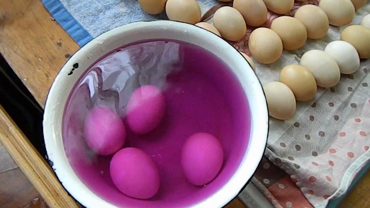 Инкубация перепелиных яиц в домашних условиях: таблица режима температуры, сроки