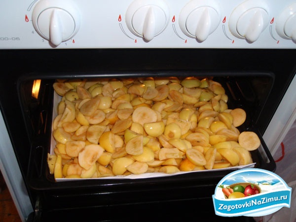 Как просто сушить яблоки в духовке газовой и электрической плиты, рецепты приготовления сухофруктов