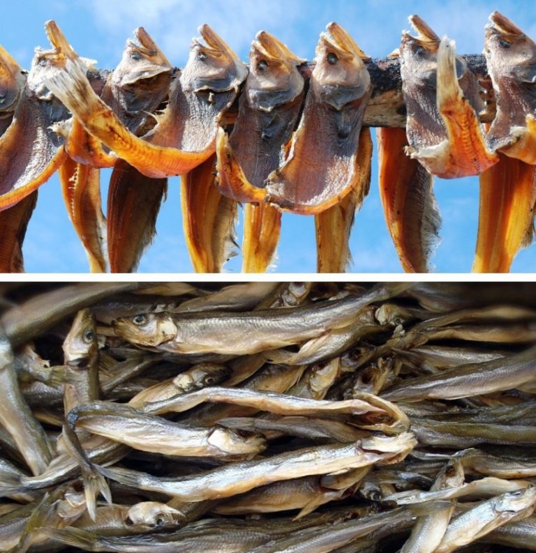 Как хранить вяленую и сушеную рыбу