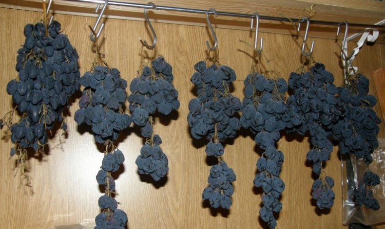 Как хранить виноград в домашних условиях, как сохранить виноград на зиму, чем обрабатывают для длительного хранения