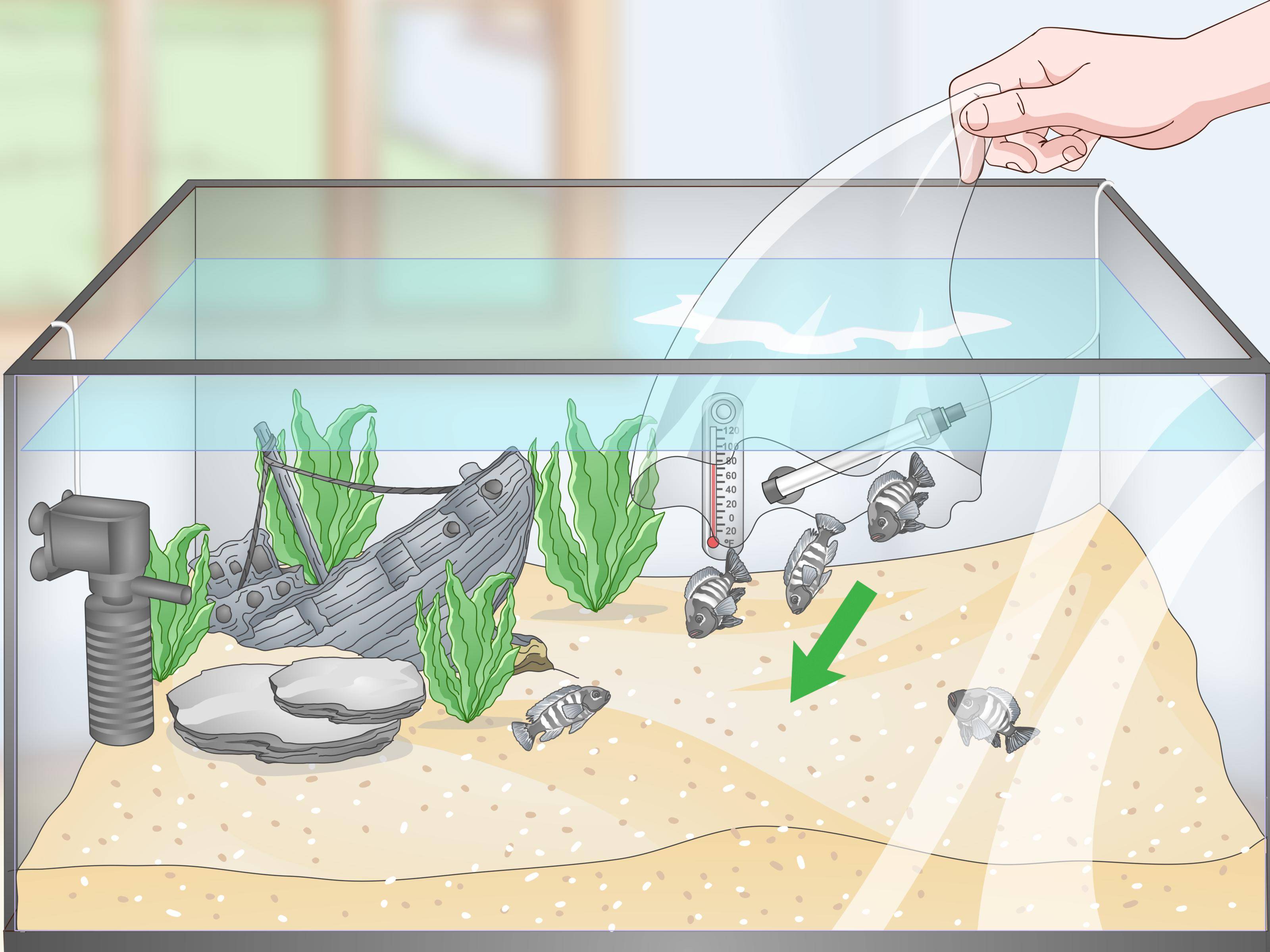 Как почистить аквариум: 8 шагов для правильного мытья