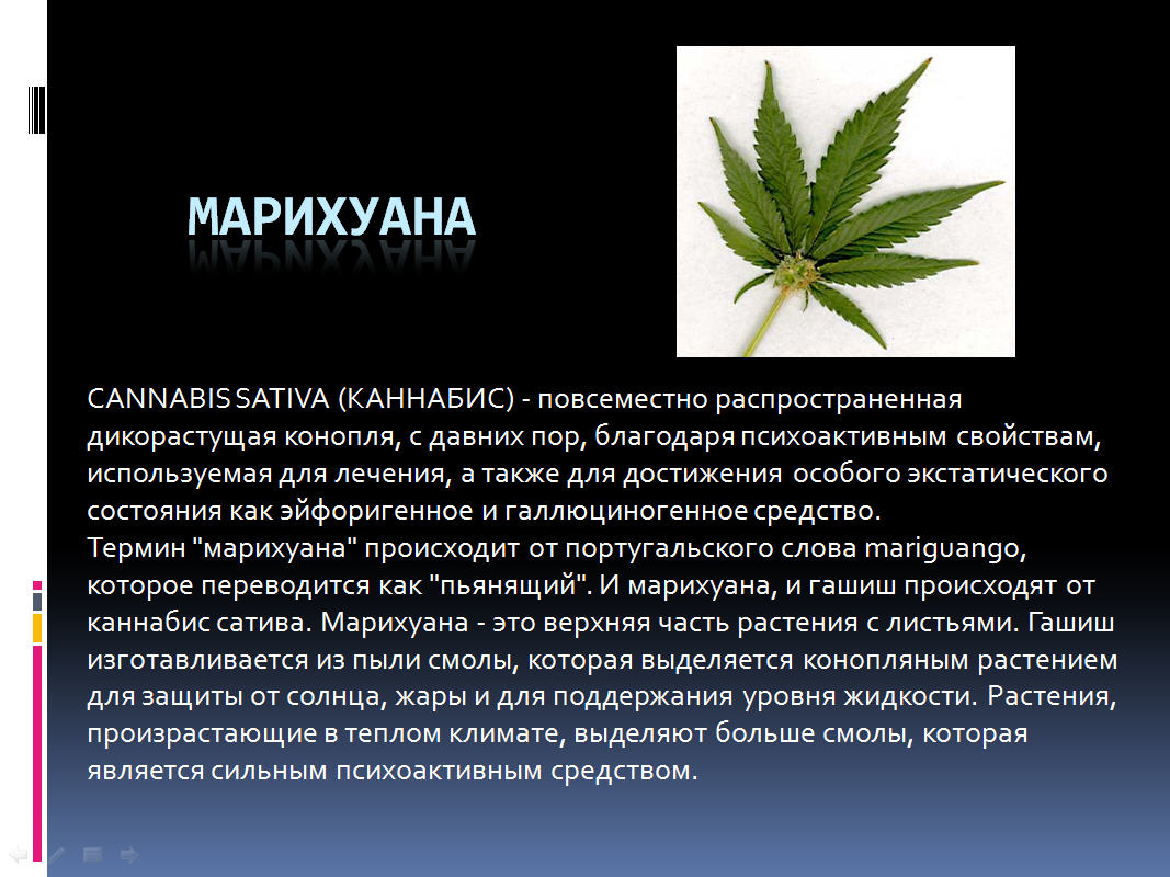 история названия марихуана